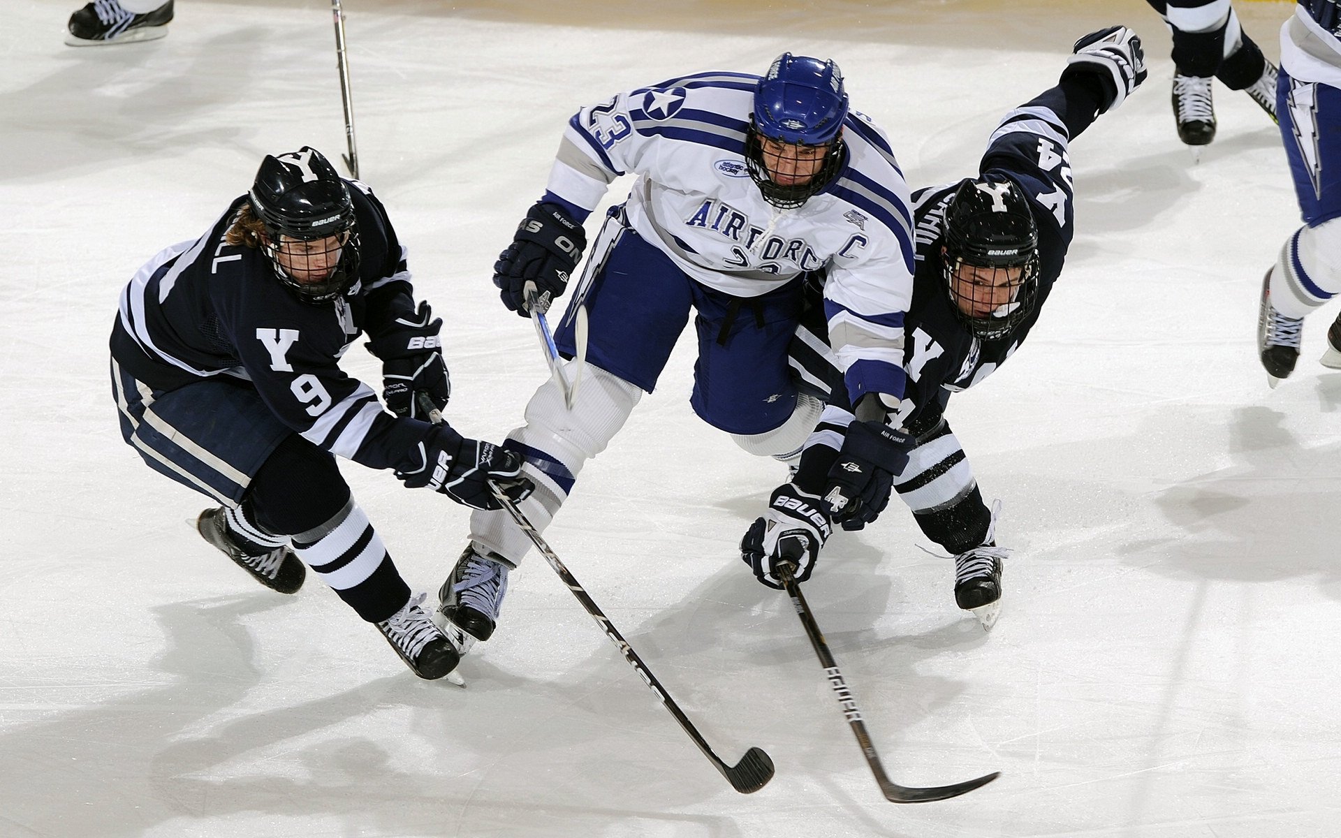 公牛队支持本地电竞产业发展,公牛队是啥